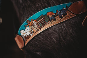 Turquoise Western Dispute