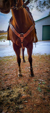 Load image into Gallery viewer, Antique western dispute