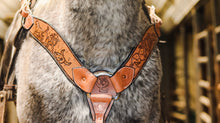 Load image into Gallery viewer, Antique western dispute